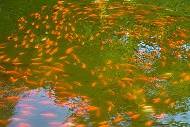 VR游戏《Human Within》Steam页面 发售日待定