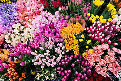 换种风味种庄稼 名作《模拟农场》将推出复古MD版