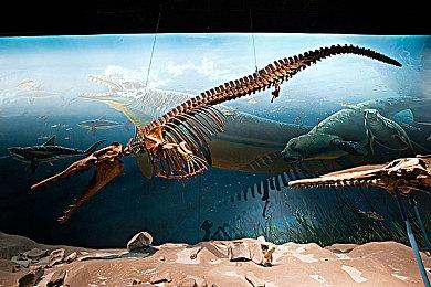 《原始杀戮：进化》宣布将于2025年登陆PS4平台